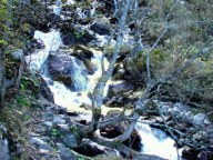 The Stream