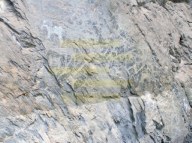 Graffiti