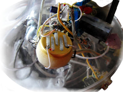 3TIUM Heart In Place